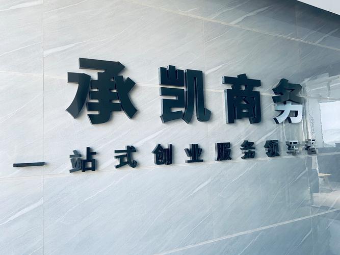翻译服务;代理记账服务;人力资源和社会保障事务代理;知识产权代理
